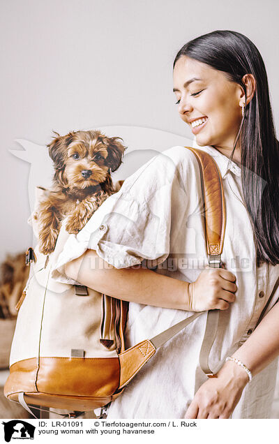 junge Frau mit jungem Havaneser / young woman with young havanese / LR-01091