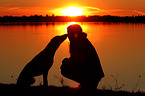 woman and Hollandse Herder