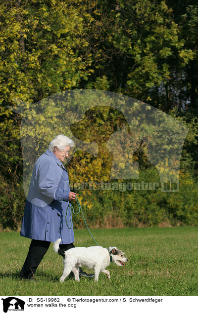 Frau und Parson Russell Terrier / woman and Parson Russell Terrier / SS-19962