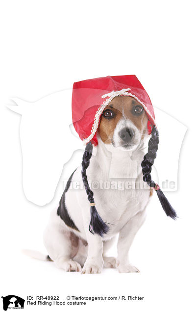 Rotkppchen Kostm / Red Riding Hood costume / RR-48922