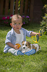 Child and Jack Russell Terrier Puppy