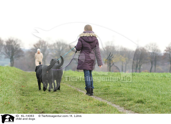 Kind und Hunde / child and dogs / KL-14063