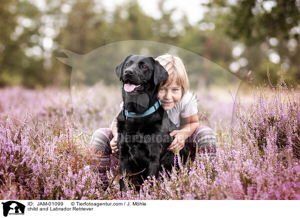 Kind und Labrador Retriever / child and Labrador Retriever / JAM-01099