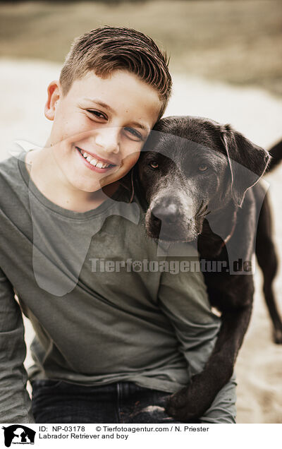 Labrador Retriever and boy / NP-03178