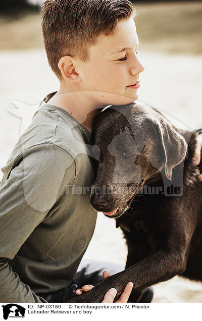 Labrador Retriever and boy / NP-03180