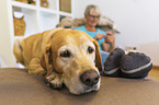 woman with Labrador Retriever