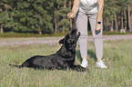 woman with Labrador Retriever