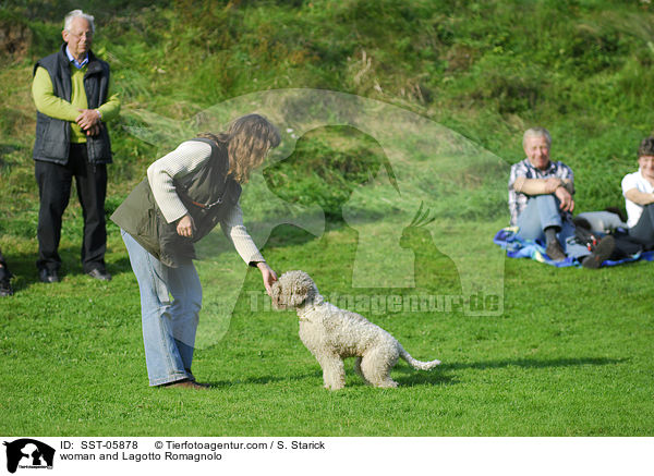 Frau und Lagotto Romagnolo / woman and Lagotto Romagnolo / SST-05878