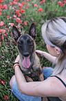 woman with Malinois in the poppy field
