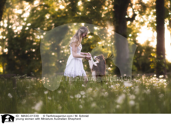 junge Frau mit Miniature Australian Shepherd / young woman with Miniature Australian Shepherd / MASC-01339