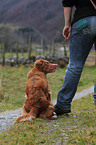 sitting Toller