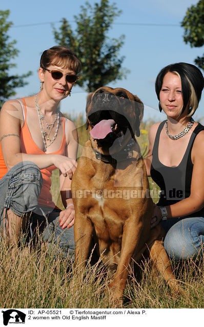 2 women with Old English Mastiff / AP-05521