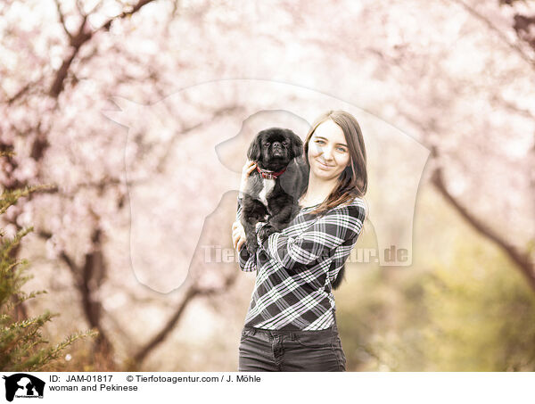 Frau und Pekinese / woman and Pekinese / JAM-01817