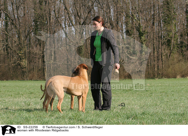 Frau mit Rhodesian Ridgebacks / woman with Rhodesian Ridgebacks / SS-22256