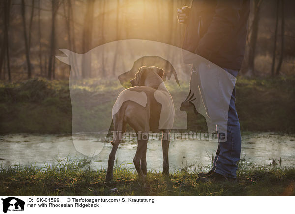 Mann mit Rhodesian Ridgeback / man with Rhodesian Ridgeback / SK-01599