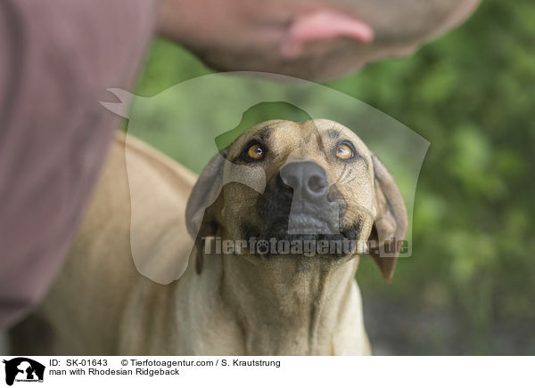 Mann mit Rhodesian Ridgeback / man with Rhodesian Ridgeback / SK-01643