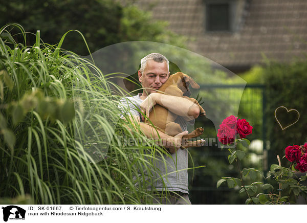 Mann mit Rhodesian Ridgeback / man with Rhodesian Ridgeback / SK-01667