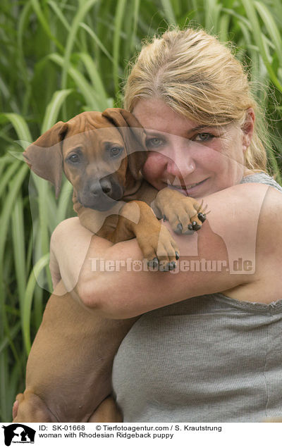 Frau mit Rhodesian Ridgeback Welpe / woman with Rhodesian Ridgeback puppy / SK-01668
