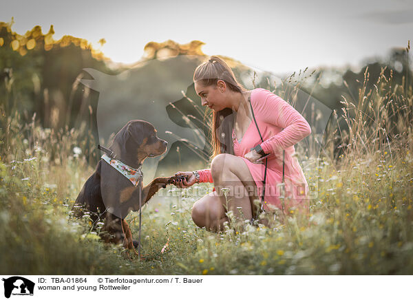 woman and young Rottweiler / TBA-01864
