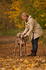 woman with shorthaired Weimaraner