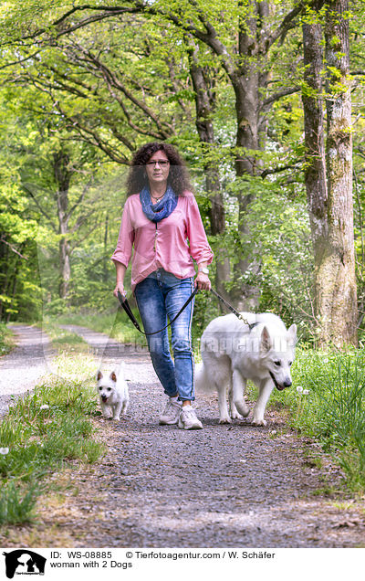 woman with 2 Dogs / WS-08885