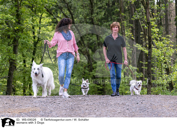 Frauen mit 3 Hunden / womans wtih 3 Dogs / WS-09026