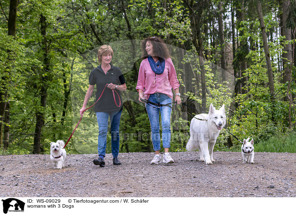 womans wtih 3 Dogs / WS-09029