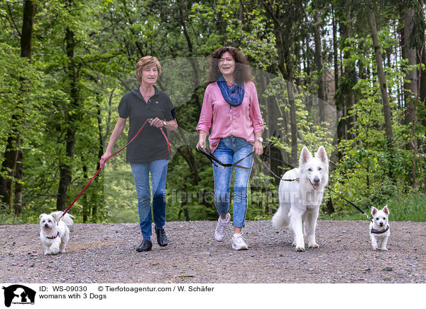 Frauen mit 3 Hunden / womans wtih 3 Dogs / WS-09030