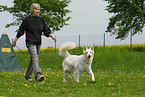 woman and white swiss shepherd