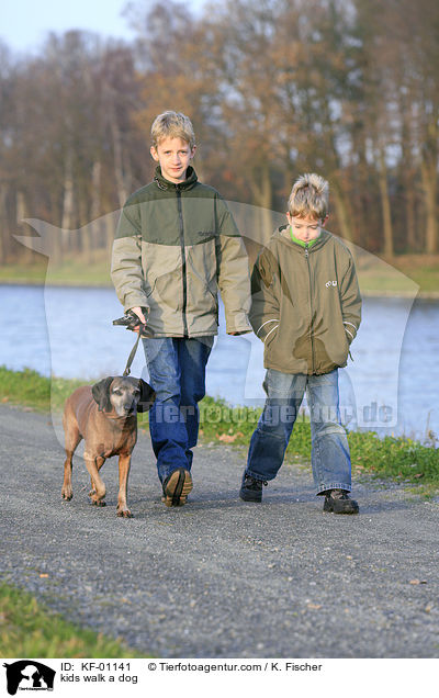 kids walk a dog / KF-01141