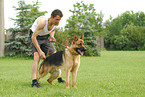 training protection dog