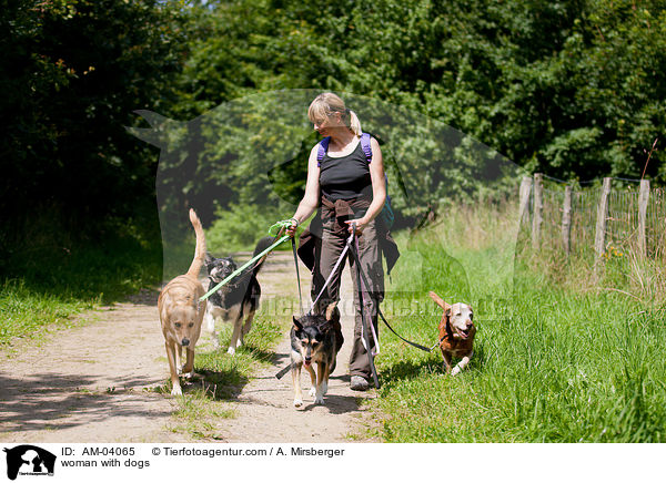 Frau mit Hunden / woman with dogs / AM-04065