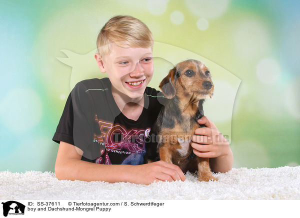 Junge und Dackel-Mix Welpe / boy and Dachshund-Mongrel Puppy / SS-37611