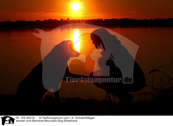Frau und Berner-Sennenhund-Schferhund / woman and Bernese-Mountain-Dog-Shepherd / SS-38314
