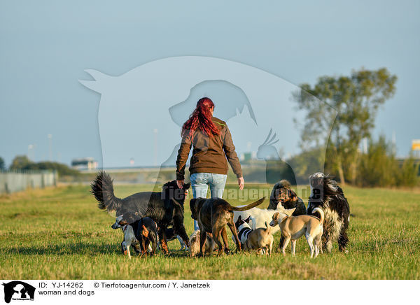 Frau und Hunde / woman and dogs / YJ-14262