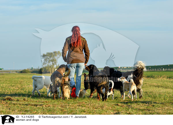woman and dogs / YJ-14265