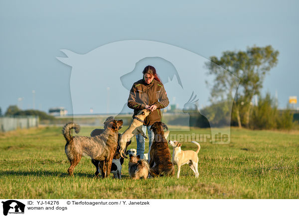 Frau und Hunde / woman and dogs / YJ-14276