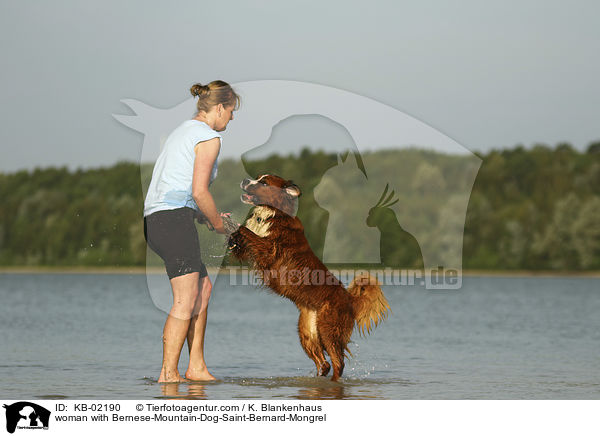Frau mit Berner-Sennenhund-Bernhardiner-Mischling / woman with Bernese-Mountain-Dog-Saint-Bernard-Mongrel / KB-02190