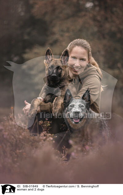 woman and 2 dogs / SIB-01849
