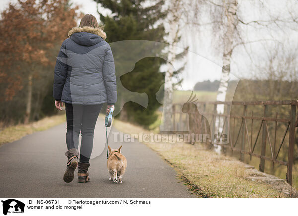 woman and old mongrel / NS-06731