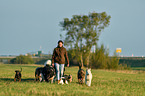 woman and dogs