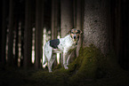 Hound-Mongrel  in the forest