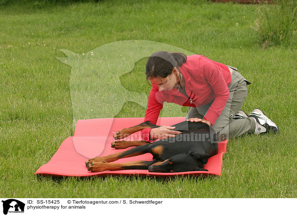 Tierphysiotherapie / physiotherapy for animals / SS-15425