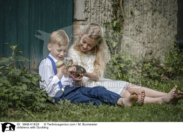 childrens with Duckling / MAB-01829