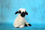 Valais Blacknose lamb