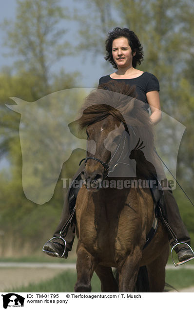 Frau reitet Aegidienberger / woman rides pony / TM-01795