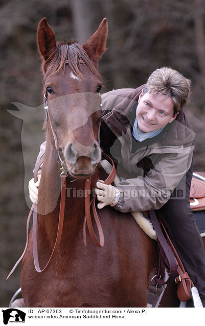 Frau reitet American Saddlebred Horse / woman rides American Saddlebred Horse / AP-07363