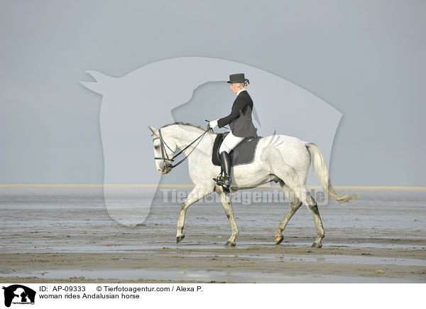 woman rides Andalusian horse / AP-09333