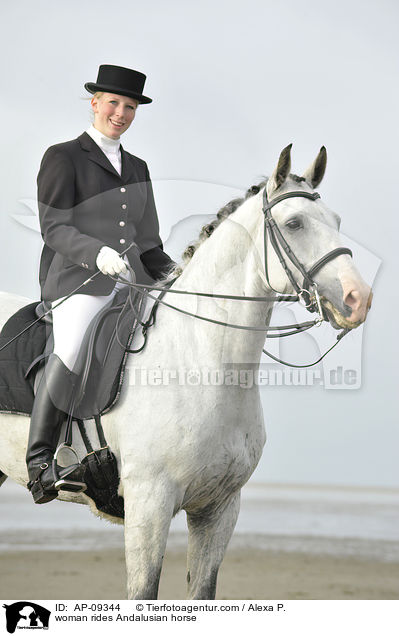 woman rides Andalusian horse / AP-09344