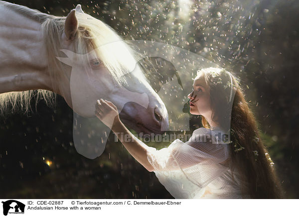 Andalusian Horse with a woman / CDE-02887